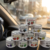 Désodorisant de voiture solide en métal 60g, mini portable, parfum naturel pour la maison et la voiture