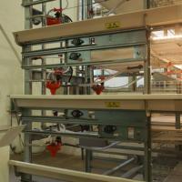 Vente Flash : Cages à Poulets Automatiques de Type H pour Élevage en Batterie |   Équipement avicole en acier galvanisé à longue durée de vie