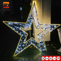 Maßgefertigtes 2D LED-Sternmotiv-Licht IP65 Außen-Weihnachtslandschaftsdekoration