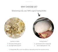 Qinshantang - Extracto Dual de Melena de León Orgánico en Polvo, 1 kg, 10% Polisacáridos, 10:1 20:1, Grado Alimenticio, Empaquetado en Bolsa