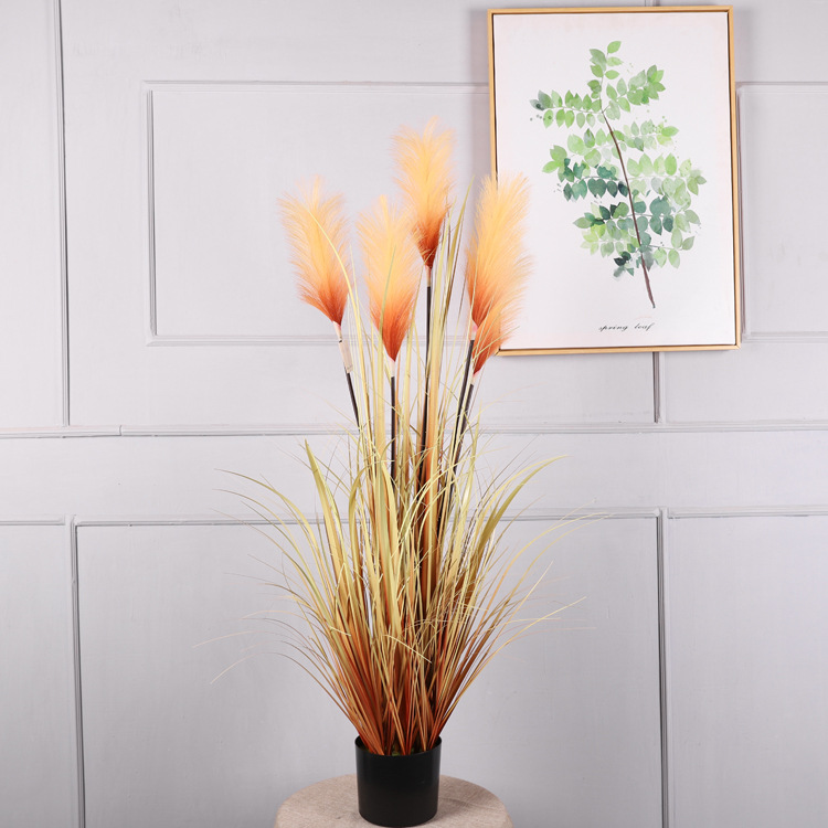 Planta en maceta de 1,2 metros, naranja