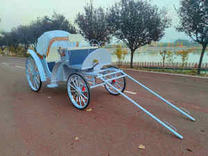 Calèche électrique de tourisme avec garantie de 2 ans, taille/couleur personnalisables, pour visites de villes anciennes et mariages - Product Image 6