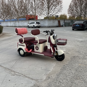 Triciclo eléctrico de pasajeros para adultos Mini sedán eléctrico para recoger y dejar vehículos de carga para niños - Product Image 6