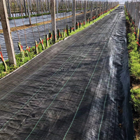 Paillis de sol en plastique noir pour couverture agricole robuste tissé en PP