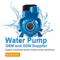 Pompe à eau OEM CE QB60 QB-60 0.5HP 370W 220V pour usage domestique et agricole, haute pression, prix compétitif