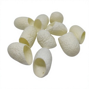Capullo de Seda Orgánico Biodegradable con Colágeno para el Cuidado Facial - Ecológico, Corte 1/3 - Product Image 1