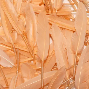 Champagne 4-6inch 100pcs Goose Feather Halloween Decoration Cosplay