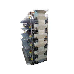 Produzione di CE <span class=keywords><strong>gabbia</strong></span> per le <span class=keywords><strong>quaglie</strong></span>/maglia di filo di quaglia <span class=keywords><strong>gabbia</strong></span> - Product Image 1