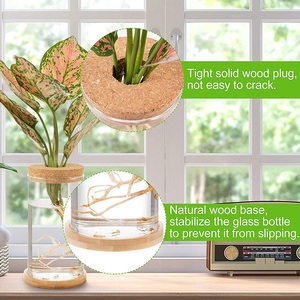Terrario de Tubo de Vidrio en Oferta para Plantas Hidropónicas, Decoración del Hogar y Jardín, y Exhibición de Esquejes de Plantas en Escritorio - Product Image 3