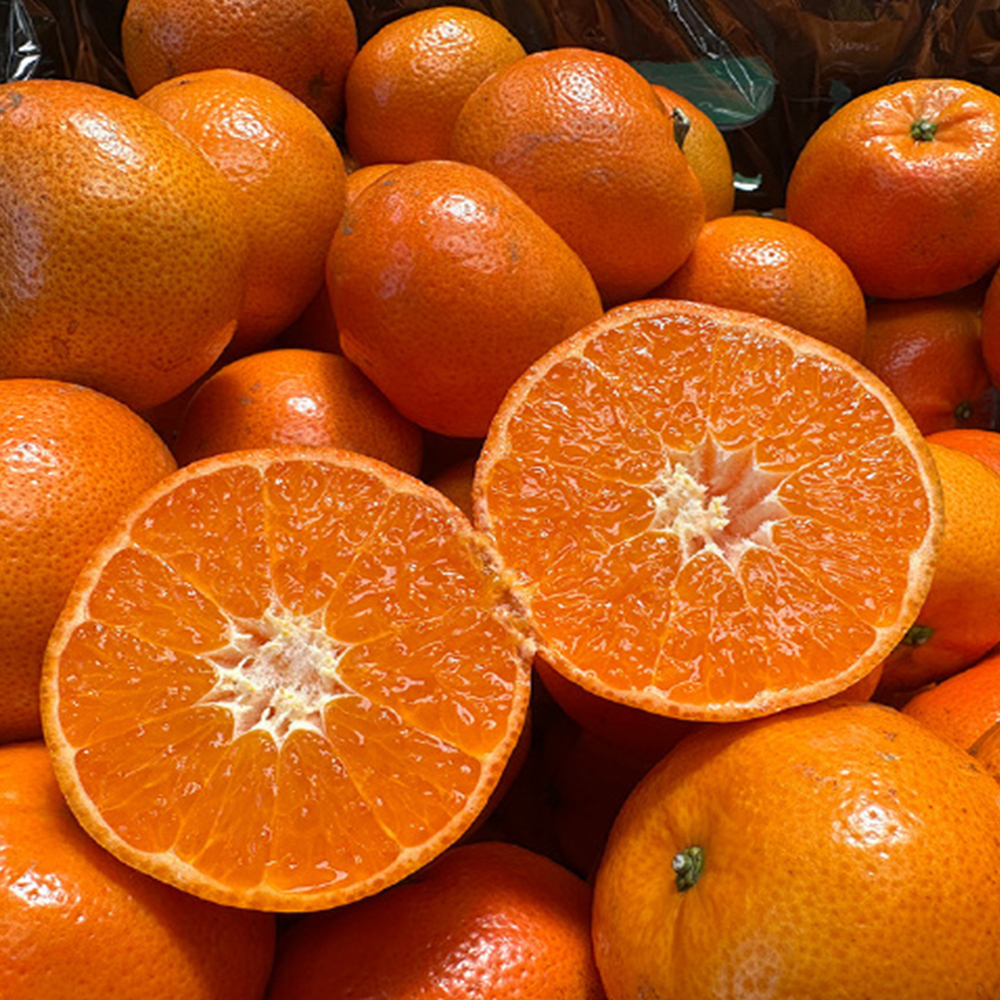 everlasting mandarin leaves