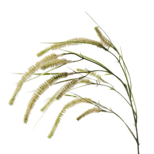 Bouquet di finto grano realistico con steli di canna ecologici e sempreverdi per decorazioni rustiche per matrimoni, casa e fattoria - Product Image 5