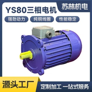 Machine de rétraction thermique personnalisée YS80 pour moteur triphasé, avec ventilateur de circulation à axe long pour four de cuisson, 750W, haute puissance - Product Image 4