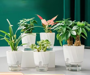 Pot de fleurs en plastique auto-arrosant <span class=keywords><strong>avec</strong></span> réservoir d'<span class=keywords><strong>eau</strong></span> intégré, pot de fleurs pour plantes paresseuses, pots de fleurs - Product Image 4