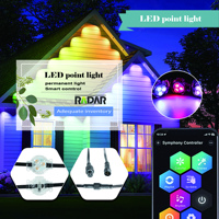 Luz LED de Navidad para Exteriores, Resistente al Agua IP67, 1m, Plástico, Control por WiFi, para Pared Exterior de Casa, Precio de Fábrica