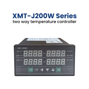 Controlador de Temperatura de Dos Canales, Medidor de Temperatura de Dos Canales, Instrumento de Dos Canales, Comunicación de Dos Canales 485 XMT-J20 - Product Image 1