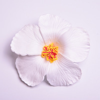 Nouvel arrivage de fleurs en mousse d'hibiscus hawaïen fleur colorée artificielle pour la décoration de tête de mariée de mariage accessoires de cheveux