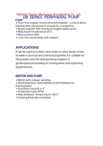 مضخة طرفية من سلسلة ديسيبل 0.75 كيلو وات (1 حصان) × تدفق 50 لتر/دقيقة • رأس 50 متر • جسم من الحديد الزهر - Product Image 5