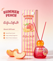 LOVALI 100ml Zomerperzik Rietdiffuser Verlooprode Kalebas Glazen Fles Zoete Fruitgeur Huisluchtverfrisser Aangepast Logo