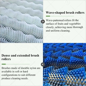 Автоматическая машина для чистки картофеля, моечная машина для кассавы и яблок, оборудование для мытья фруктов и овощей, Нигерия - Product Image 4