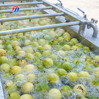 Fabriek Prijs Automatische Fruit Groente Sorteren Apple Aardappel Tomaat Oranje Avocado Ui Grading Wassen Size Wegen Machine