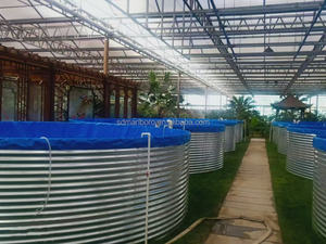 Tanques de Biofloc Galvanizados Personalizados de 6 m de Diámetro y 1.45 m de Altura, Tanques Circulares Grandes para Peces Ras, Acuicultura Agrícola - Product Image 6