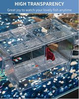 Boîte d'élevage de poissons d'aquarium, incubateur en acrylique avec ventouses, boîte d'isolation moyenne pour bébés poissons crevettes Betta