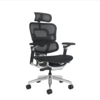 Chaise de bureau ergonomique de qualité supérieure, corps entièrement en alliage d'aluminium, soutien lombaire réglable pour les importateurs en gros