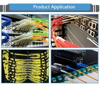 Factory Price Simplex G652D Single Mode Optical Fiber Patch Cord SC-SC 1M UPC PVC 3.0mm Tensile Strength 200N FTTH IP Network