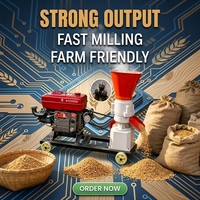 Machine à granulés d'aliments pour animaux automatique à moteur diesel en fonte, pour volailles, 80-100 kg/h, multi-granulés 2-8 mm, garantie 1 an, neuve