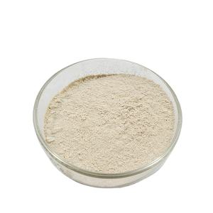 Suministro de fábrica Suplemento de alta potencia Baicalein 98% Polvo de extracto de Scutellaria Baicalensis en polvo - Product Image 4