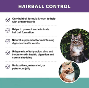 Top-Grade Pet Hairball Chews Cuidado de la salud y suplementos para gatos, precios competitivos Hairball Bites Suplemento funcional - Product Image 3