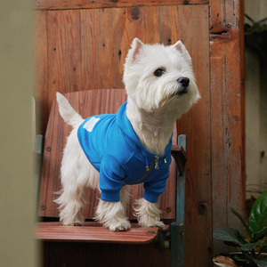 Comfortable and Soft Fashionable <strong>Dog</strong> Clothes, Customized Logos and Handsome Pet Hoodies - Product Image 5