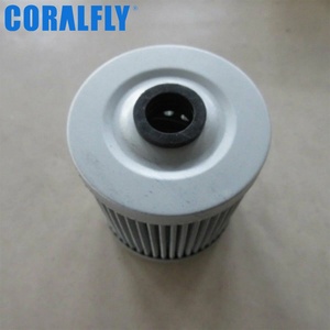 Filtre à carburant pour moteur diesel de haute qualité 300080079 C0607D-1 13067054 860135413 pour camion - Product Image 3