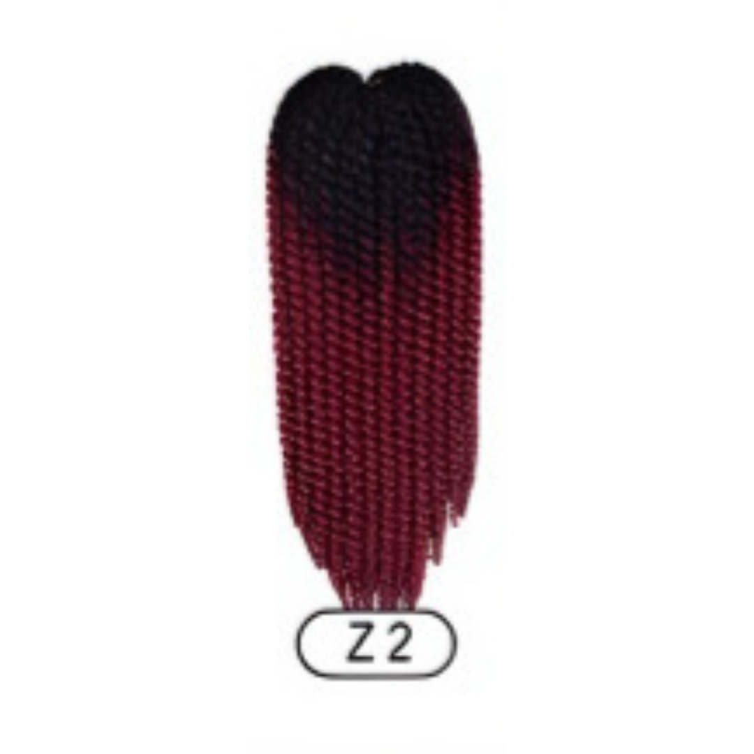 Z2
