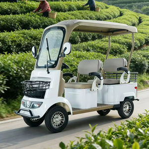 Minibús A5 de Cuatro Ruedas con Toldo, Cuatro Asientos, para Personas Mayores y Discapacitadas, Scooter Eléctrico Familiar con Motor de 650w - Product Image 4