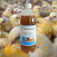 Complément alimentaire liquide économique favorisant une croissance saine pour la volaille d'élevage en plein air, nutriments vétérinaires avec vitamines