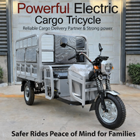 Tricycle électrique de fret à trois roues en acier, moteur central sans balais 60V 1000W à 3 vitesses, haute qualité, populaire, directement de l'usine