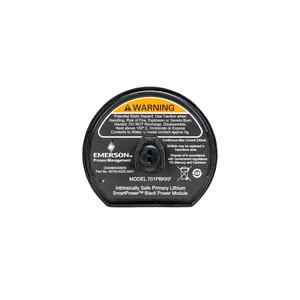 Nuevo en Existencia, 100% Original Rosemount-700 Micro Motion Modelo 700, Conjunto de Procesador Central Estándar - Product Image 3