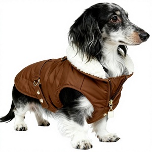 Veste pour chien d'hiver moderne, écologique et luxueuse, imperméable, rembourrée, pour Bassotto, Wiener, Teckel, Hamburg - Product Image 4