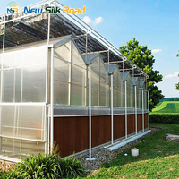 Grote Venlo-type multispan kas van polycarbonaat met verzinkt stalen frame, ventilatie- en koelsystemen