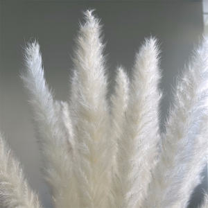 Image de <span class=keywords><strong>fleurs</strong></span> <span class=keywords><strong>séchées</strong></span>, 20 pièces par lot, de haute qualité, pour arrangement floral, <span class=keywords><strong>bouquet</strong></span> de roseaux des marais blancs - Product Image 4