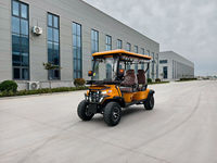 Voiture de loisirs 5-6 places économique avec moteur AC 4 kW, véhicule utilitaire à essence, voiturette de golf