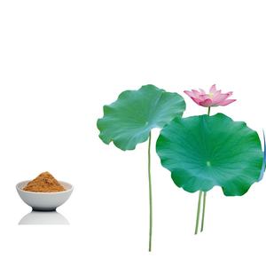 Factory Supply Flavone in Lebensmittel qualität l Nuciferine Blue Lotus Extract Powder Wild kultivierter Kräuter samen zum Abnehmen von Kapseln - Product Image 5
