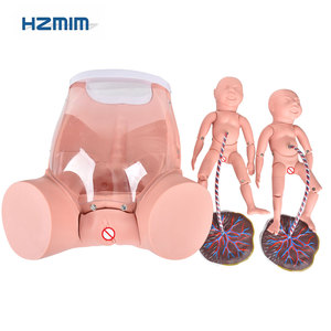 Sinh Con Kỹ Năng Đào Tạo Mô Phỏng, Phụ Khoa Mô Hình Sinh Mô Phỏng - Product Image 2