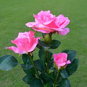 Lumières solaires vibrantes <span class=keywords><strong>en</strong></span> forme de rose, du crépuscule à l'aube, pour jardin, terrasse, balcon, porche, bordure, mariage, fête, fête des fêtes, embellissez vos espaces - Product Image 5