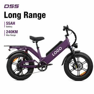 Bicicleta Eléctrica de Carga D55, 48V55Ah, Alta Velocidad, 750W, Neumático Grueso de 20 Pulgadas, 240 Km de Autonomía, con Señales de Giro - Product Image 1