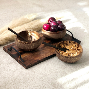 Juego de Tazón y Cuchara de Cáscara de Coco Artesanal Vietnamita al por Mayor, Diseño Rústico Ecológico de Alta Calidad para Regalos - Product Image 1