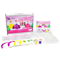 Fabricant de jouets ODM/OEM BIG BANG SCIENCE, kit d'arbre magique en cristal pour filles, jouet scientifique amusant pour la croissance des cristaux, cadeau princesse