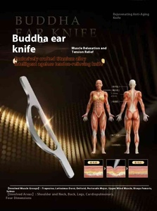 Appareil de beauté portable anti-âge avec 8 têtes de traitement, raffermissant la peau, relaxant les muscles, apaisant le corps, massage corporel - Product Image 3