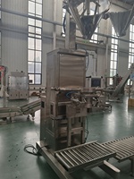 Machine d'emballage automatique pour le remplissage de sacs de poudre de 25 kg, machine de pesage et d'emballage automatique pour la poudre
